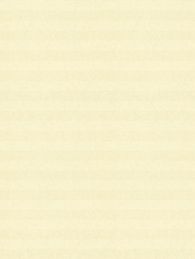 Preview LYSEL HOME Store plissé 107A Crush 3