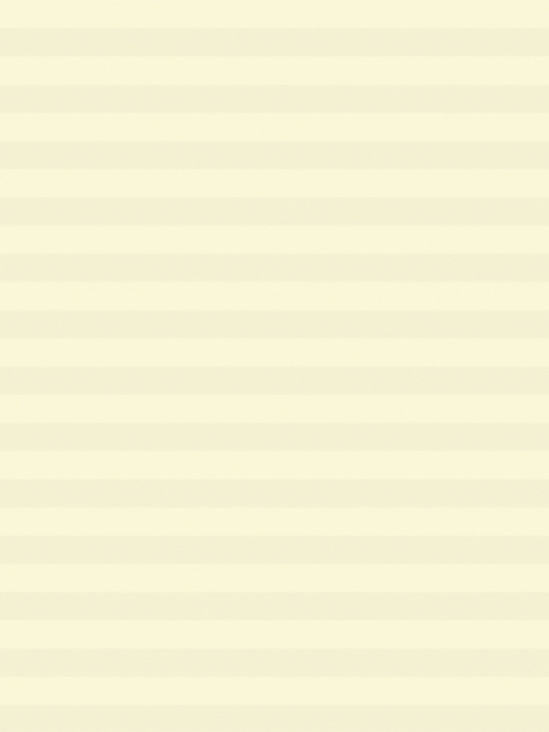 Preview LYSEL HOME plissé 016A nid d'abeille 3