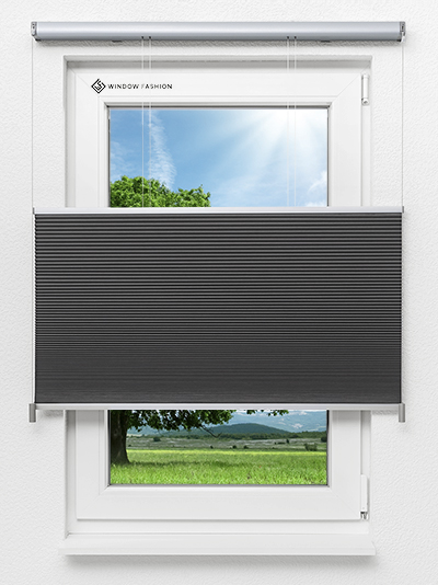 Tender Comb BO 9309.3636 Fensteransicht