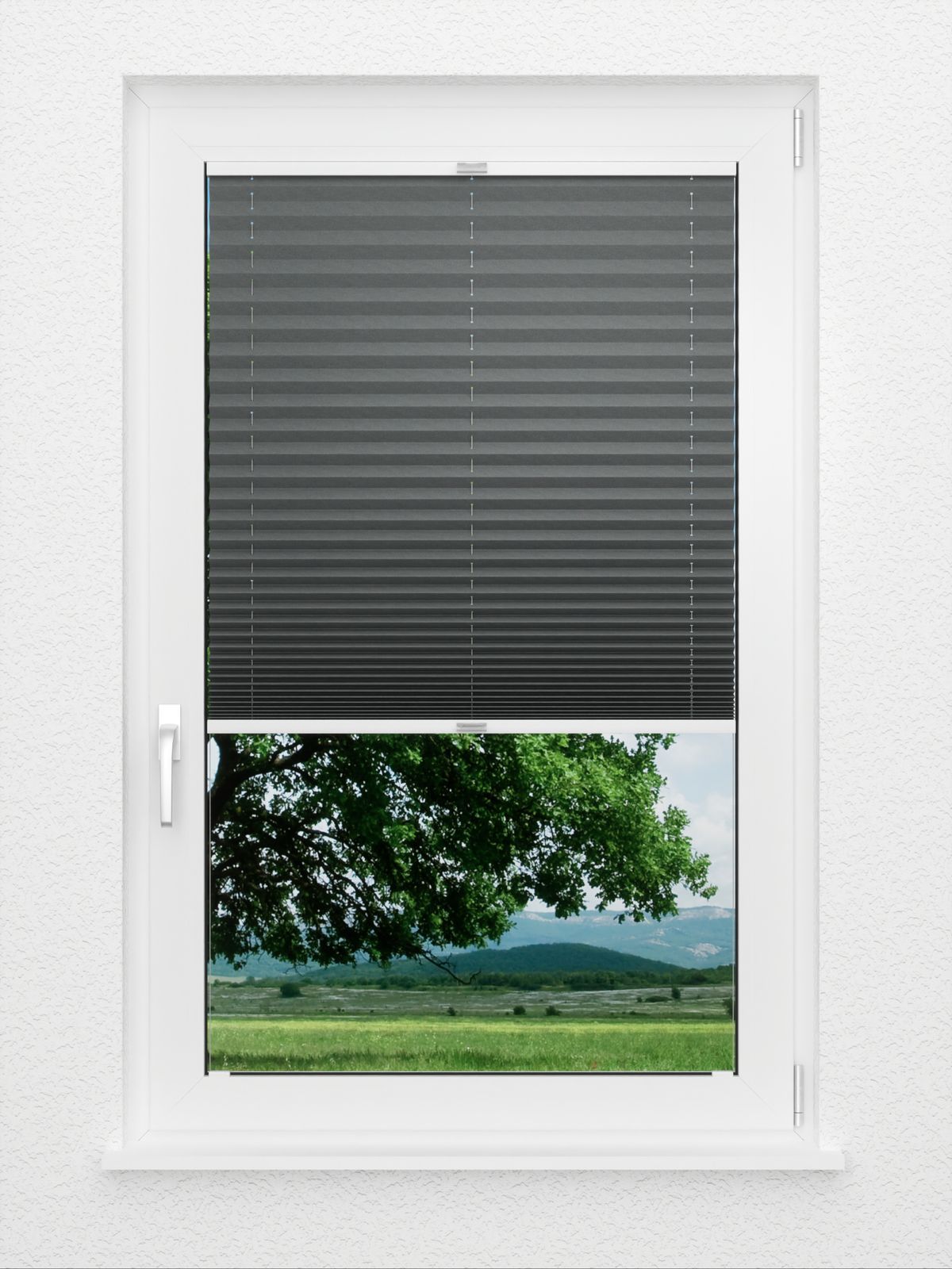 Detailansicht Plissé Seguidilla 3480.1819