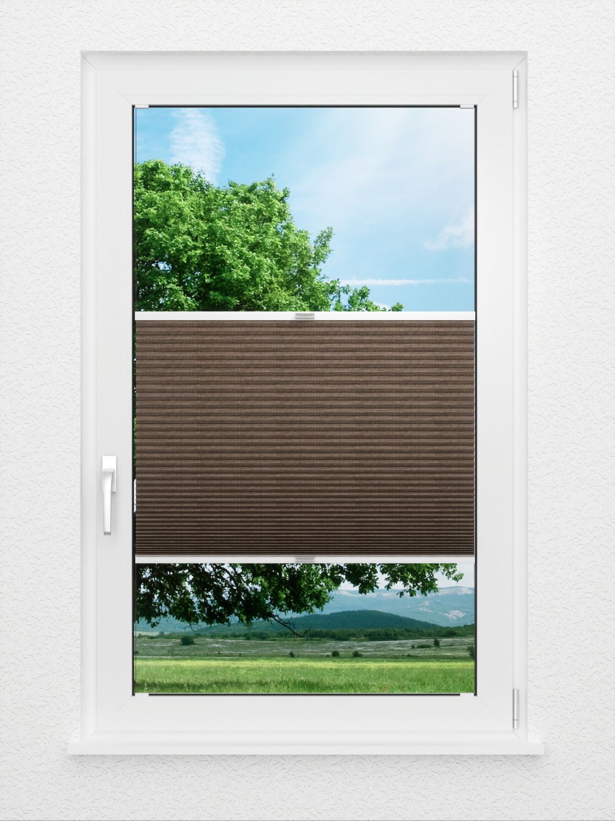 Detailansicht Coarse Comb LI 7307.7008