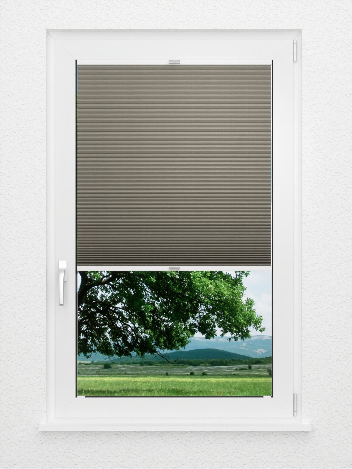 Detailansicht Evenly Comb LI 7207.7014