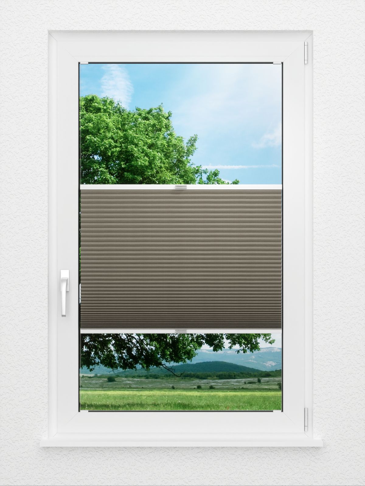 Detailansicht Evenly Comb BO 9807.7015