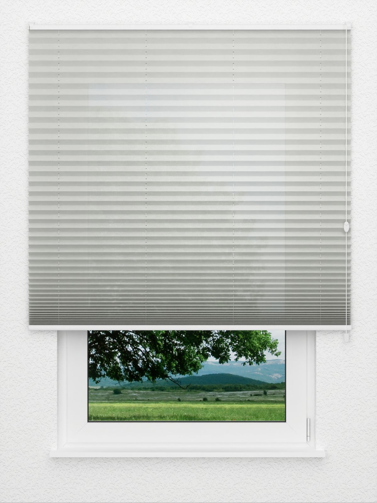 Detailansicht Plissé All Over 6409.2004