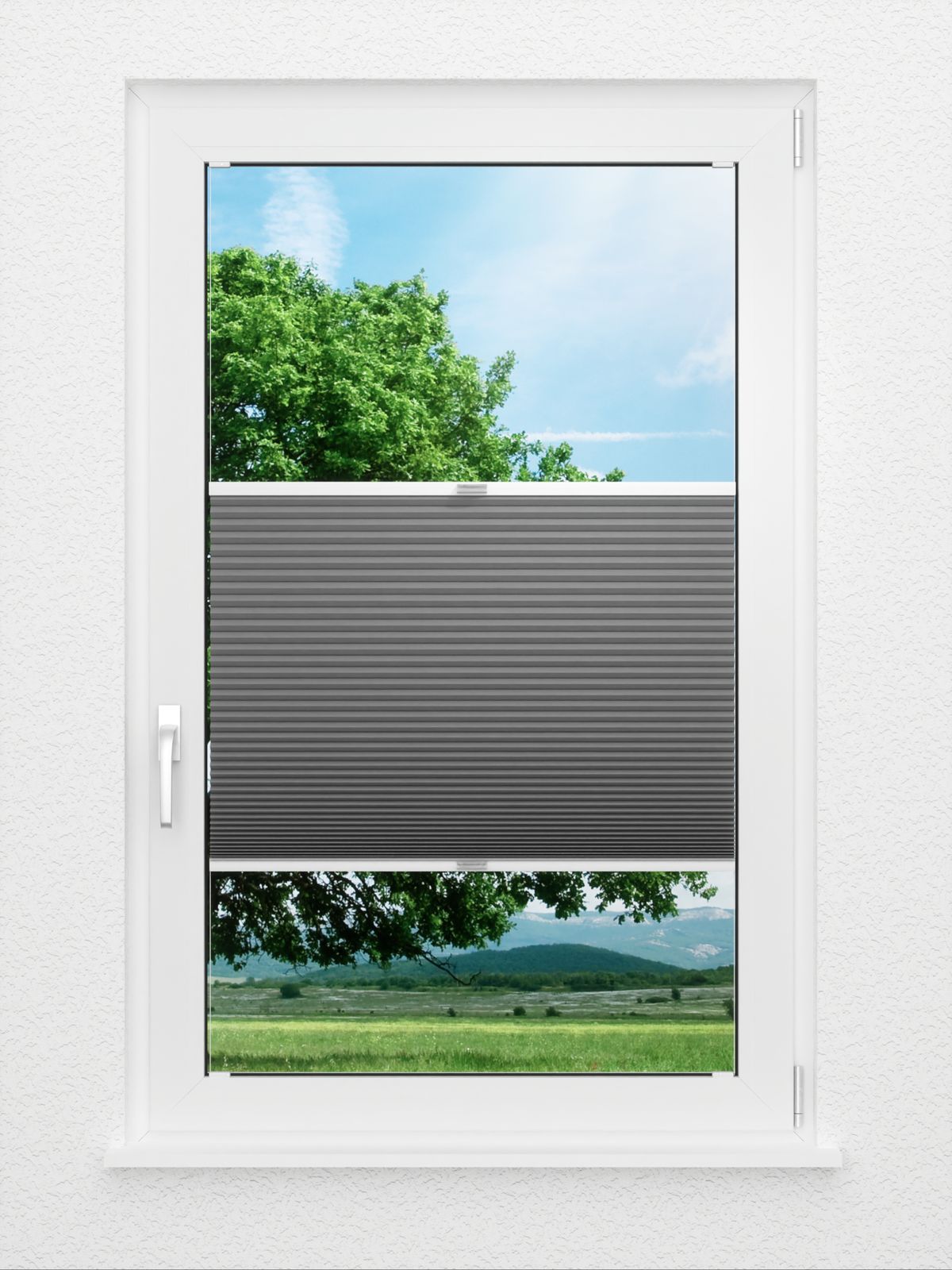 Detailansicht Simple Comb SC 7109.3609