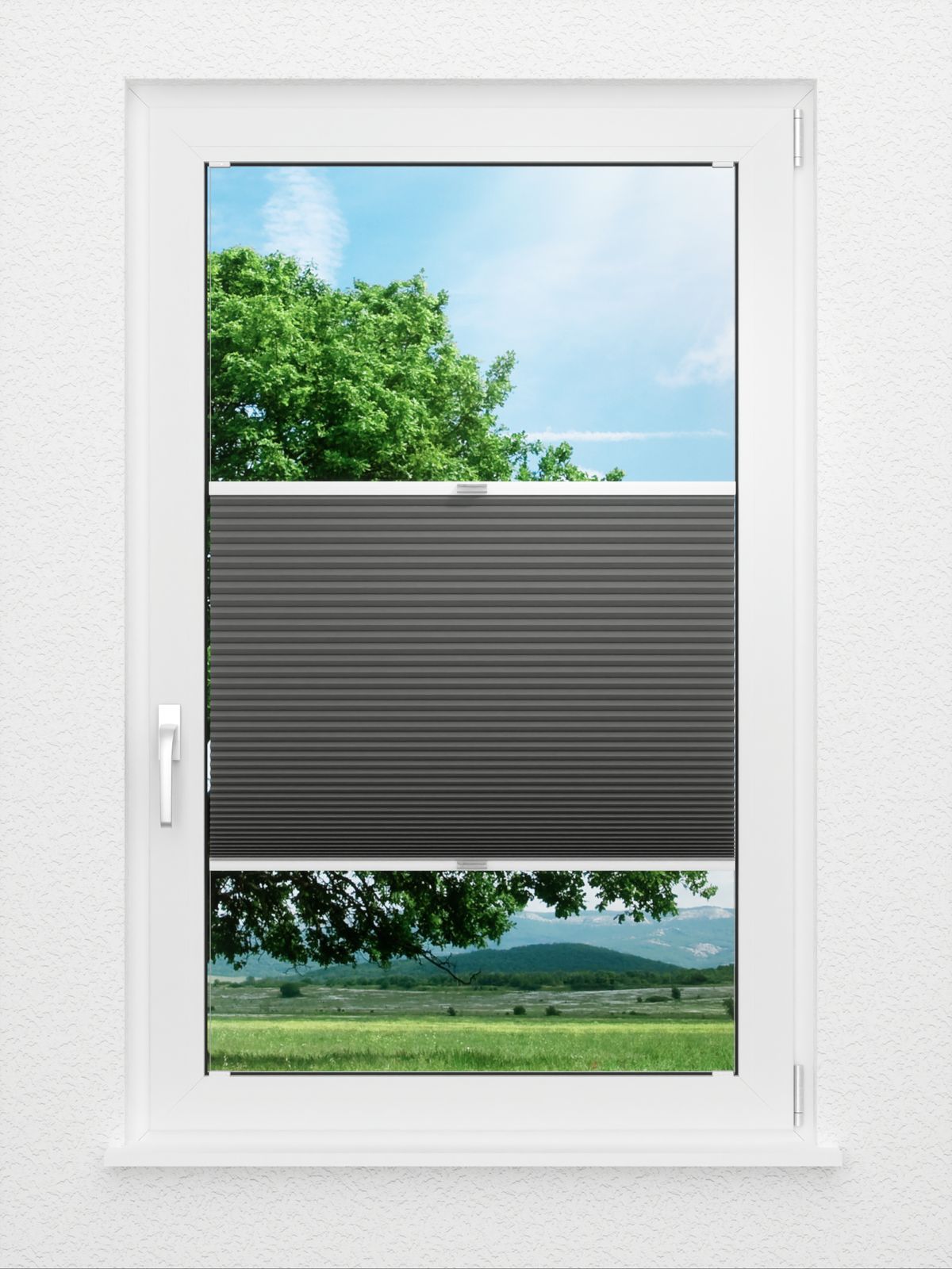 Detailansicht Simple Comb SC 7109.3611