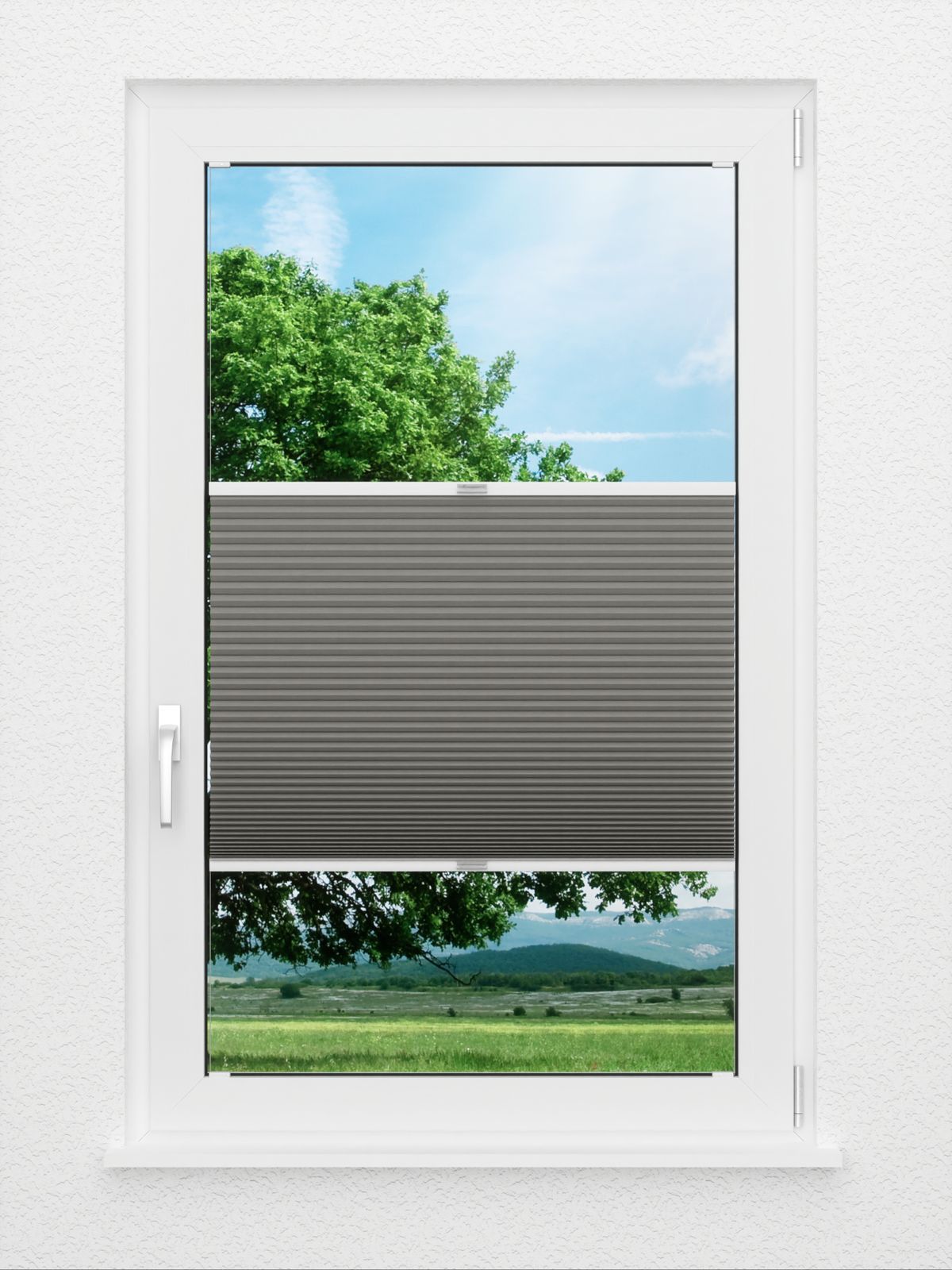 Detailansicht Casket Comb SC 7409.3629