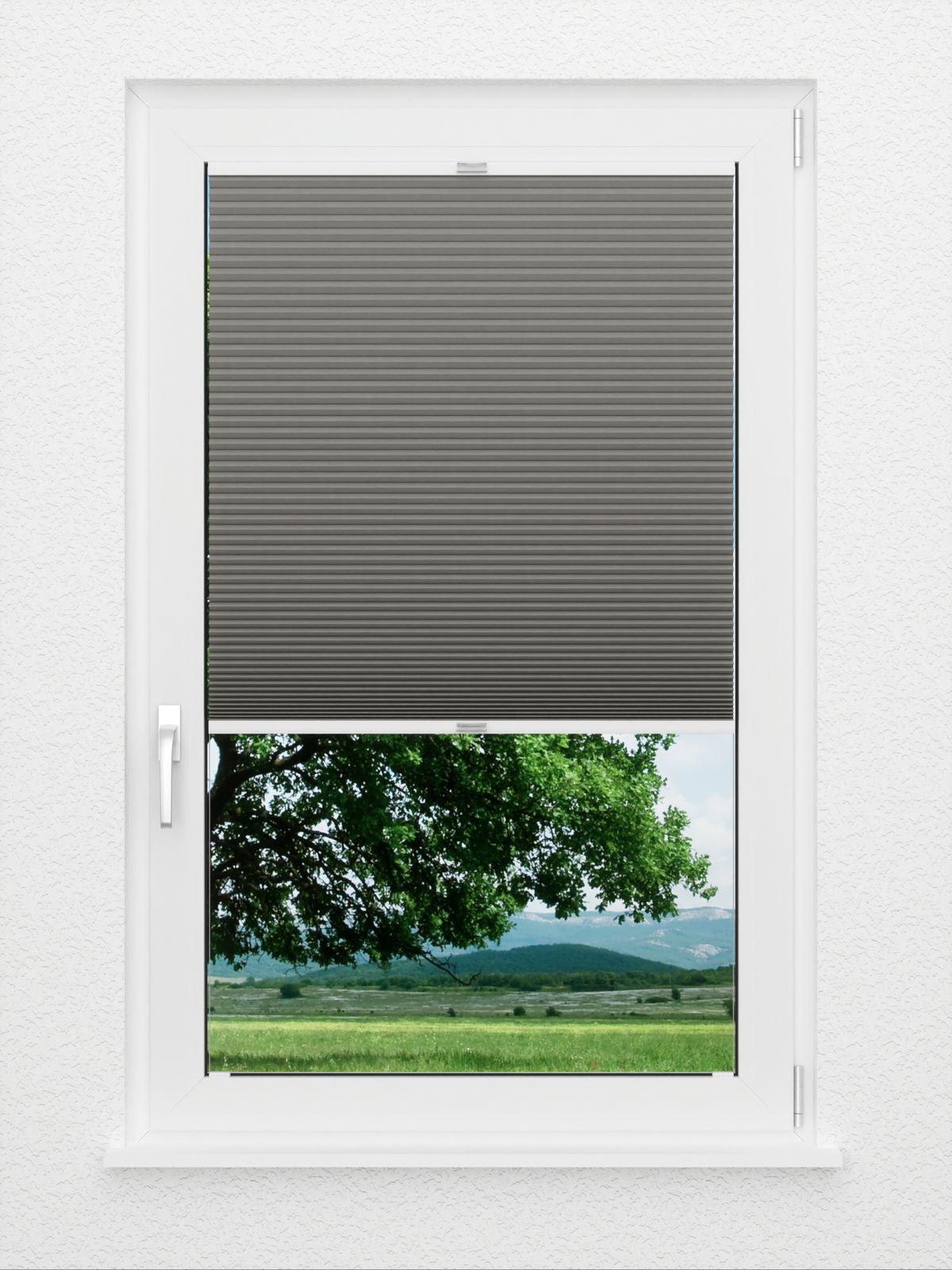 Detailansicht Casket Comb SC 7409.3629