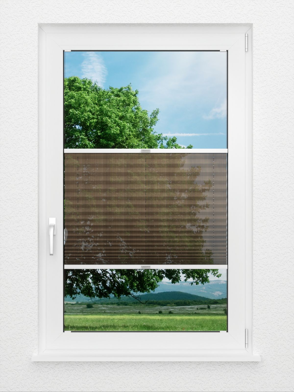 Detailansicht plissé Pasodoble 8370.6101