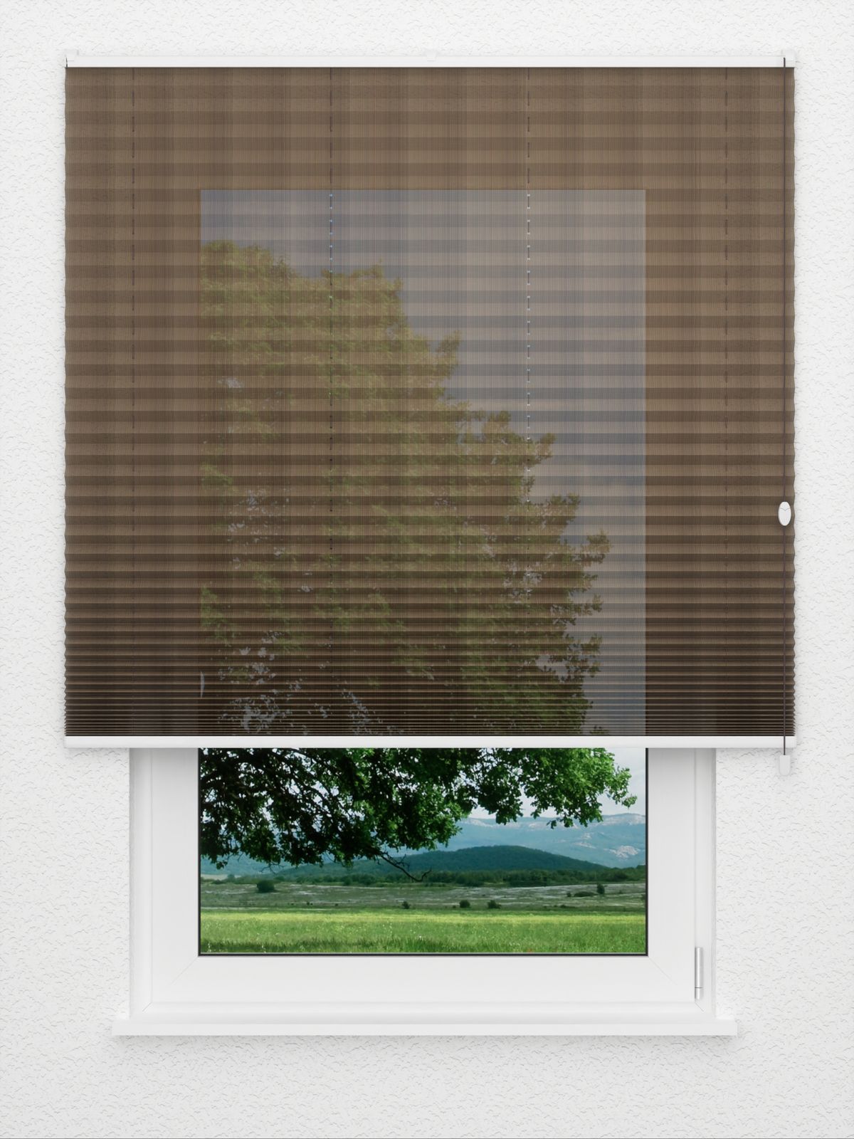 Detailansicht plissé Pasodoble 8370.6101