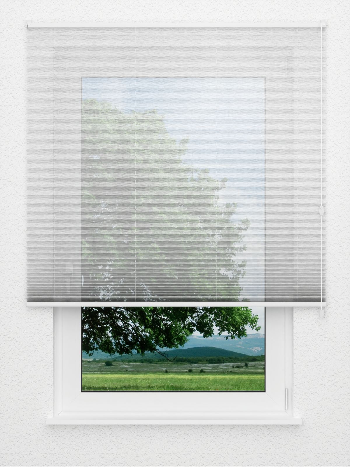 Detailansicht Store plissé Verismo 3900.3518