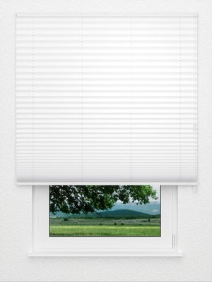 plissé Blackout BO 01.0101 Fensteransicht