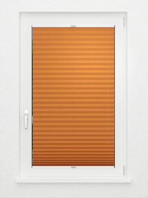 Preview Plissé Crêpe B1 22.0201 3