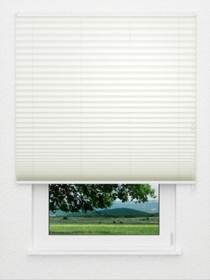 Plissé Crêpe B1 17.0303 Fensteransicht