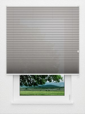 Store plissé Kreppa 1309.0455 Fensteransicht