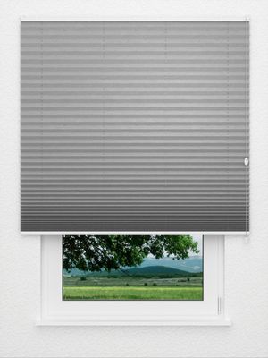 plissé Crush 3109.3570 Fensteransicht