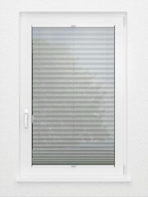 Preview plissé Toccata B1 2181.5024 3