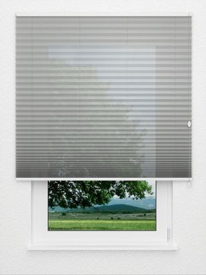 Preview plissé Toccata B1 2181.5024 0