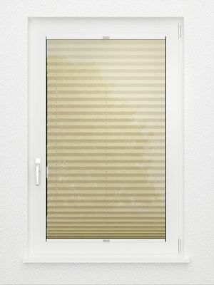 Preview plissé Toccata B1 2110.5025 3