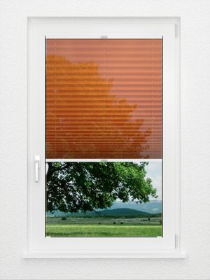 Preview Store plissé Toccata B1 2130.5026 2