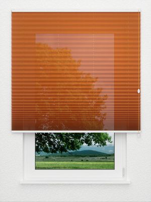 Store plissé Toccata B1 2130.5026 Fensteransicht