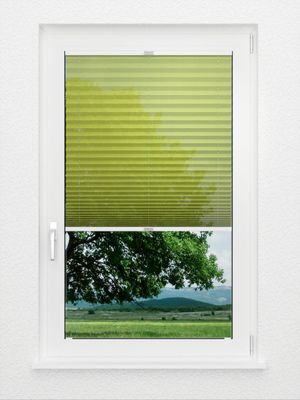 Preview Toccata de plissé B1 2150.5027 2