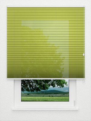 Toccata de plissé B1 2150.5027 Fensteransicht