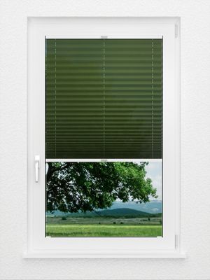 Preview plissé Naturale 6606.9453 2