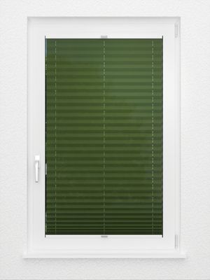 Preview plissé Naturale 6606.9453 3