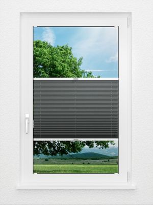 Preview Plissé Seguidilla 3480.1819 1