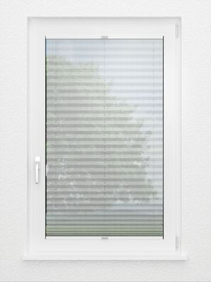 Preview Plissé Appasionato 1381.3103 3