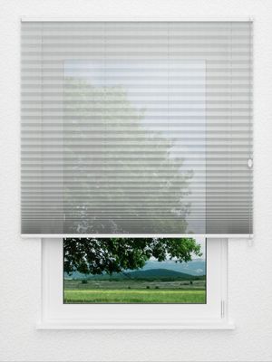 Preview Plissé Appasionato 1381.3103 0