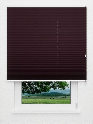 plissé Concept Night 4517.0705 Fensteransicht