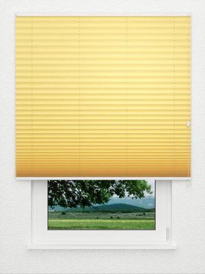 Store plissé BrilliantNight 4020.1611 Fensteransicht