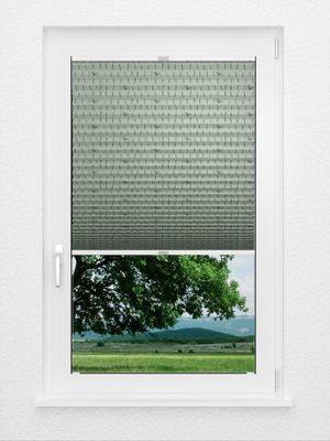 Preview Store pissenlit 3409.8653 2