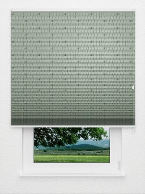 Store pissenlit 3409.8653 Fensteransicht