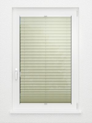 Preview Plissé All Over 6706.2007 3