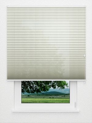 Plissé All Over 6102.2001 Fensteransicht