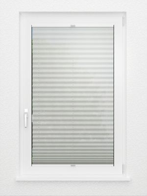 Preview Plissé All Over 6409.2004 3