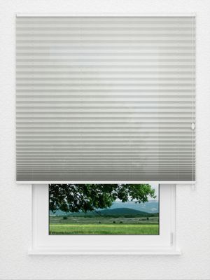 Preview Plissé All Over 6409.2004 0