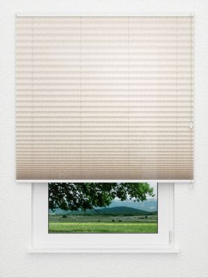 plissé Tendrils 5202.5018 Fensteransicht