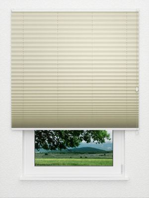 Plissé Cantate  4211.5011 Fensteransicht