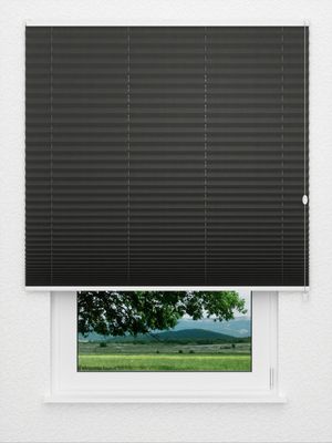 Plissé Cantate  4280.5016 Fensteransicht