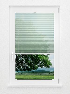 Preview Plissé Sensibile 7906.4167 2