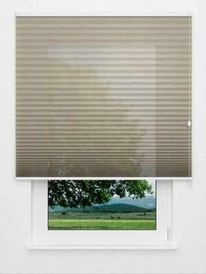 Plissé Sensitive 7902.6152 Fensteransicht