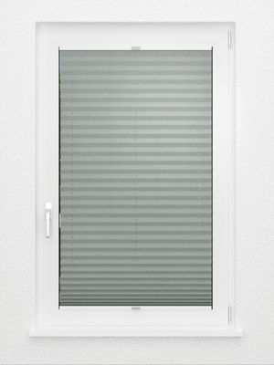 Preview Plissé Office Grand  8580.9302 3