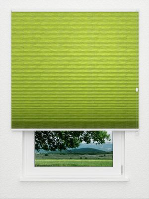 Store plissé en bambou 3550.1707 Fensteransicht