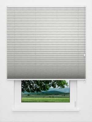 Plissé Raft 8109.0803 Fensteransicht