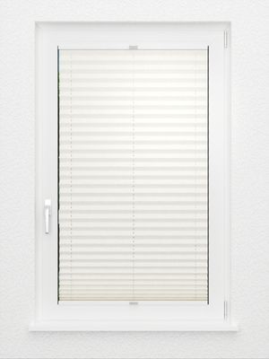 Preview Plissé Raft 8102.1551 3