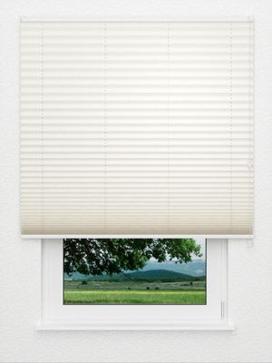 Plissé Raft 8102.1551 Fensteransicht